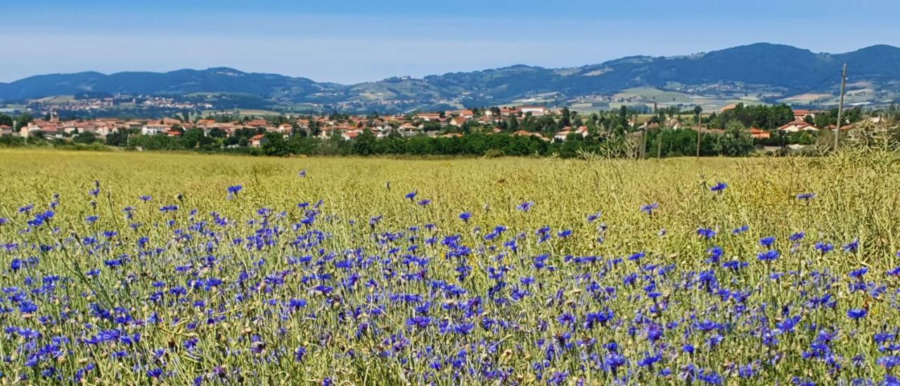 Gite Les Arches Saint-Andeol-le-Chateau Екстер'єр фото